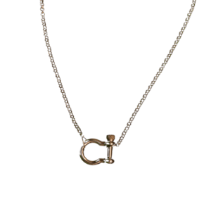 Forever bound silver link and silver rolo chain necklace