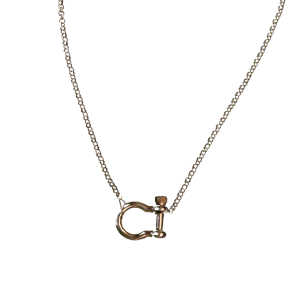 Forever bound silver link and silver rolo chain necklace