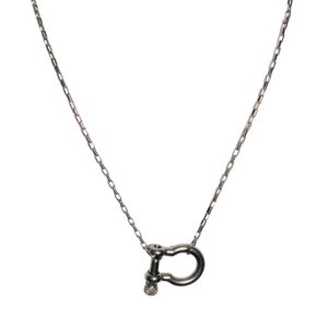 Forever bound silver link and silver box clip chain necklace