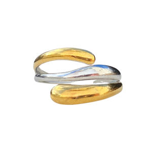silver and gold ring